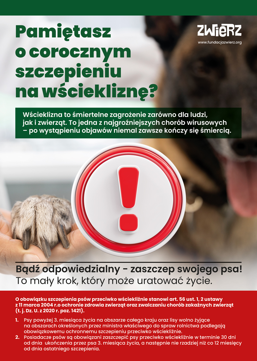 Grafika przedstawia plakat akcji sczepień psów na wściekliznę  